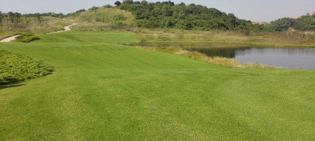 湖南省一建园林建设有限公司