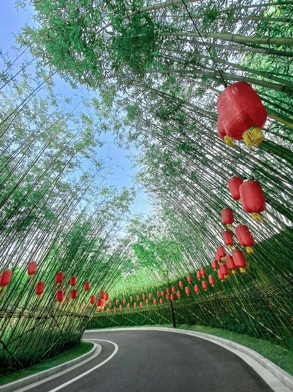 湖南省一建园林建设有限公司 湖南省一建园林建设有限公司